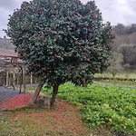 Casa Grande De Covas-Apartamentos Boutique En La Ribeira Sacra *