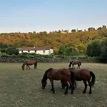 Casa Grande De Covas-apartamentos Boutique En La Ribeira Sacra *