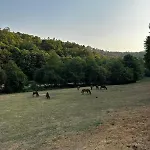 Casa Grande De Covas-Apartamentos Boutique En La Ribeira Sacra * Taboada