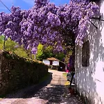 Casa Grande De Covas-apartamentos Boutique En La Ribeira Sacra Appartamento *