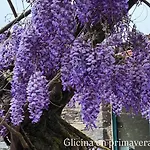 Casa Grande De Covas-apartamentos Boutique En La Ribeira Sacra