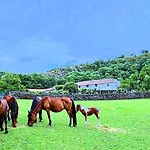 Casa Grande De Covas-apartamentos Boutique En La Ribeira Sacra Appartamento *