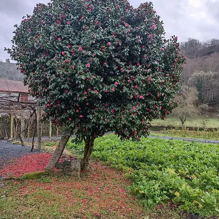 Casa Grande De Covas-apartamentos Turisticos *