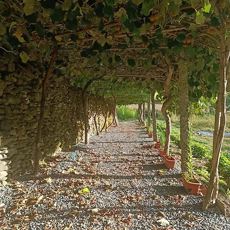 Casa Grande De Covas-apartamentos Turisticos 아파트