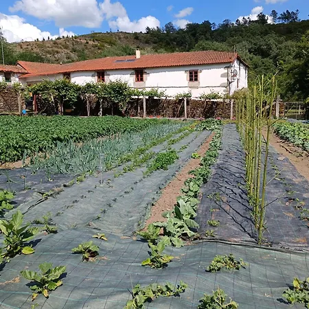 Casa Grande De Covas-apartamentos Turisticos Appartement *