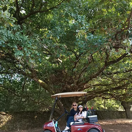 Casa Grande De Covas-apartamentos Turisticos *