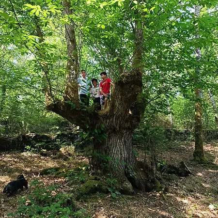 Casa Grande De Covas-apartamentos Turisticos * Taboada