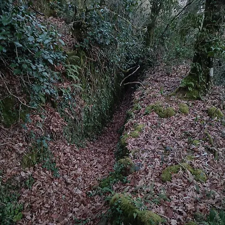 Appartement Casa Grande De Covas-apartamentos Turisticos Taboada