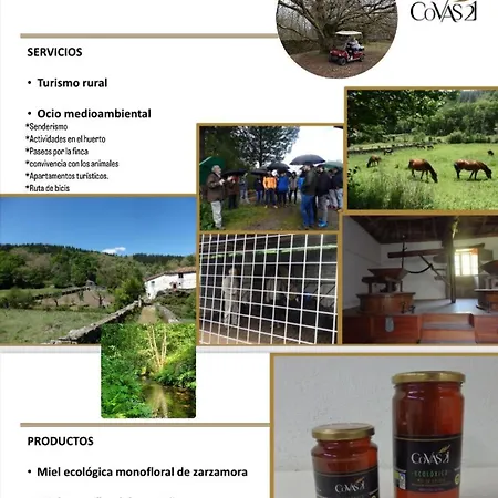 Casa Grande De Covas-apartamentos Turisticos Apartment