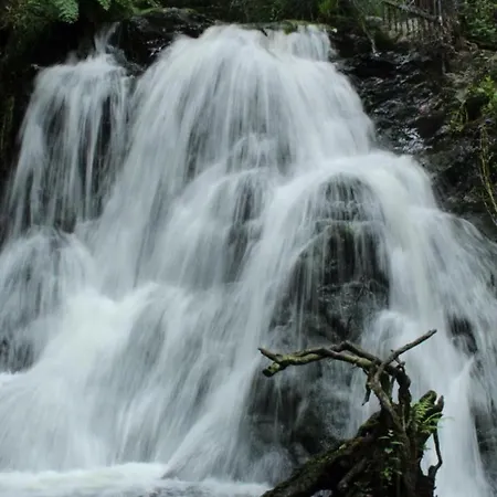 Appartement Casa Grande De Covas-apartamentos Turisticos Taboada