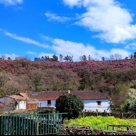 Apartamento Casa Grande De Covas-rural Boutique & En La Ribeira Sacra