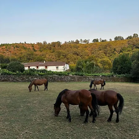 Casa Grande De Covas-rural Boutique & En La Ribeira Sacra *