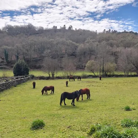 Casa Grande De Covas-rural Boutique & En La Ribeira Sacra Apartamento Taboada