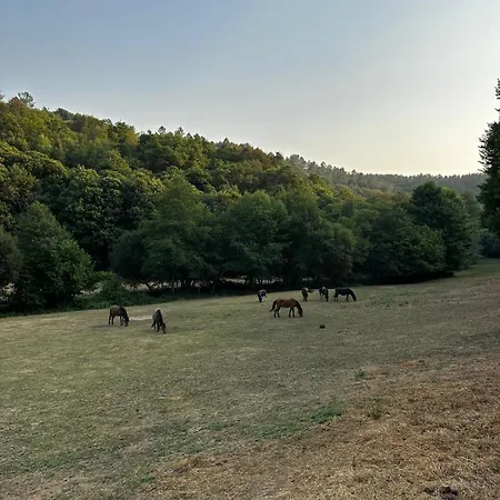 Casa Grande De Covas-rural Boutique & En La Ribeira Sacra * Taboada