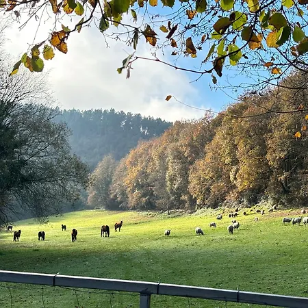 Apartamento Casa Grande De Covas-rural Boutique & En La Ribeira Sacra Taboada