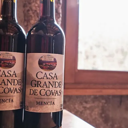 Apartamento Casa Grande De Covas-rural Boutique&agroturismo En La Ribeira Sacra Taboada