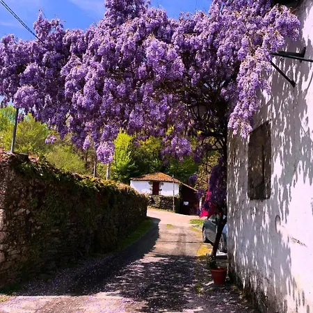 Casa Grande De Covas-rural Boutique & En La Ribeira Sacra Apartamento *