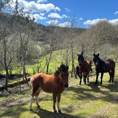 Casa Grande De Covas-rural Boutique & En La Ribeira Sacra * Taboada
