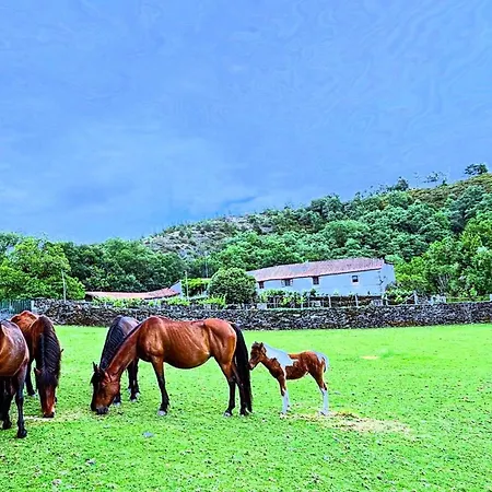 Casa Grande De Covas-rural Boutique & En La Ribeira Sacra Daire *
