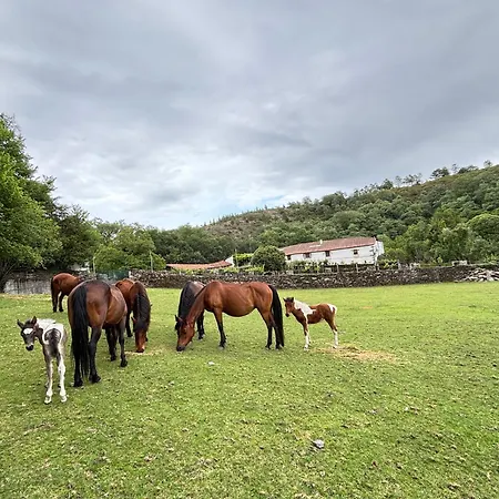Casa Grande De Covas-rural Boutique & En La Ribeira Sacra