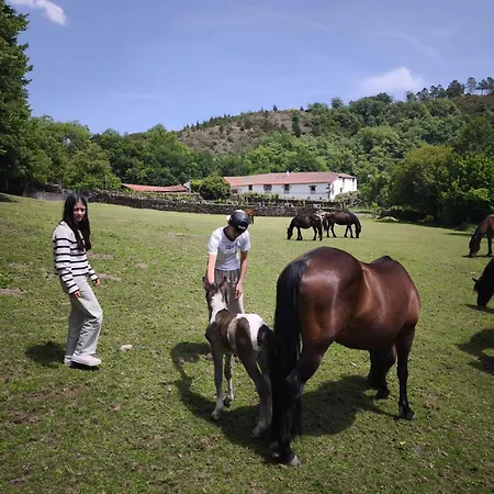 Casa Grande De Covas-rural Boutique & En La Ribeira Sacra Lejlighed *