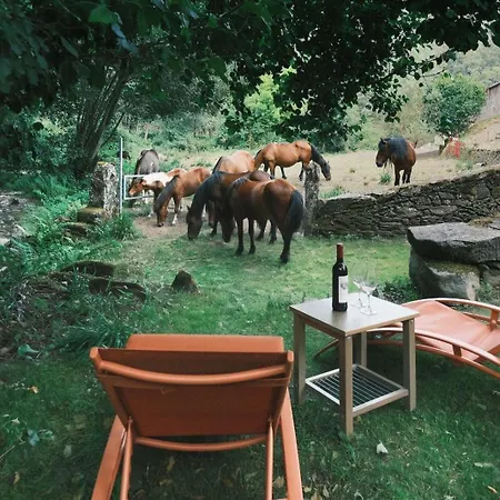 Casa Grande De Covas-rural Boutique & En La Ribeira Sacra Daire