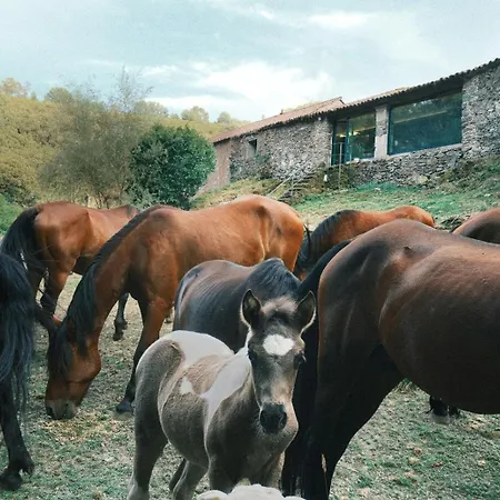 شقة Casa Grande De Covas-rural Boutique & En La Ribeira Sacra