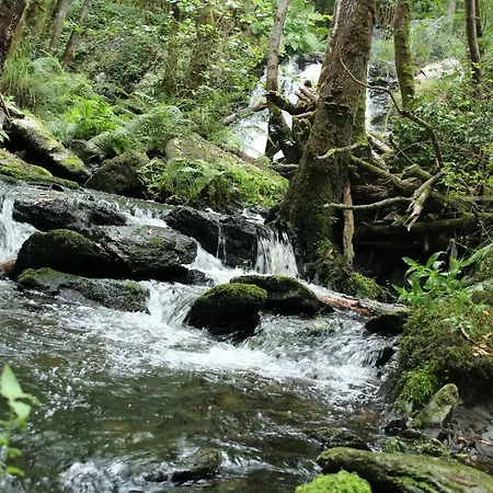 Appartement Casa Grande De Covas-apartamentos Turisticos