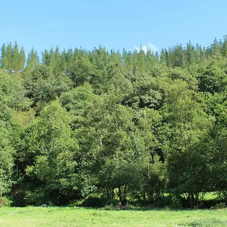 Casa Grande De Covas-apartamentos Turisticos * Taboada