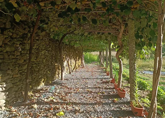 Casa Grande De Covas-apartamentos Turisticos Lägenhet