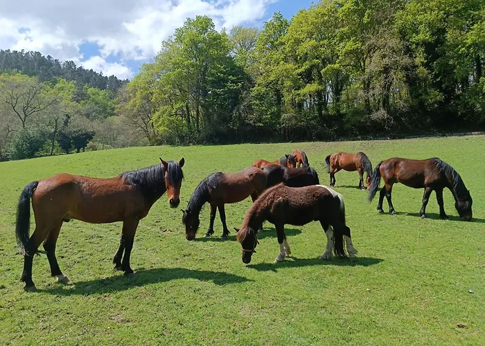 Lägenhet Casa Grande De Covas-apartamentos Turisticos