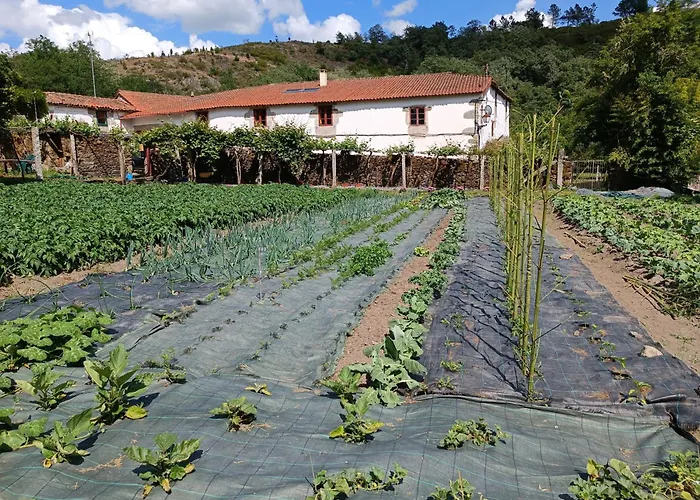 Casa Grande De Covas-Apartamentos Boutique En La Ribeira Sacra Apartment *