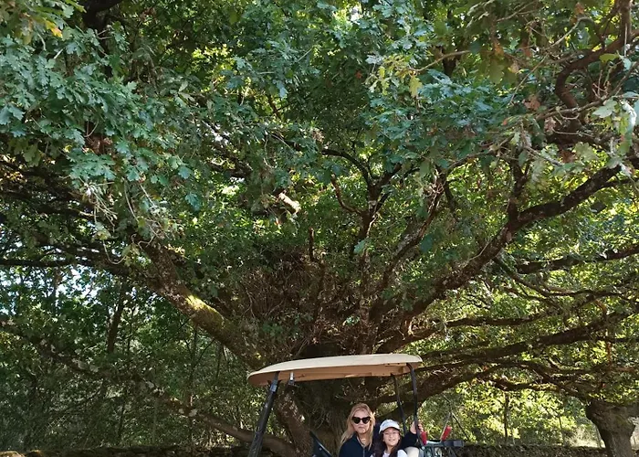 Casa Grande De Covas-apartamentos Turisticos *