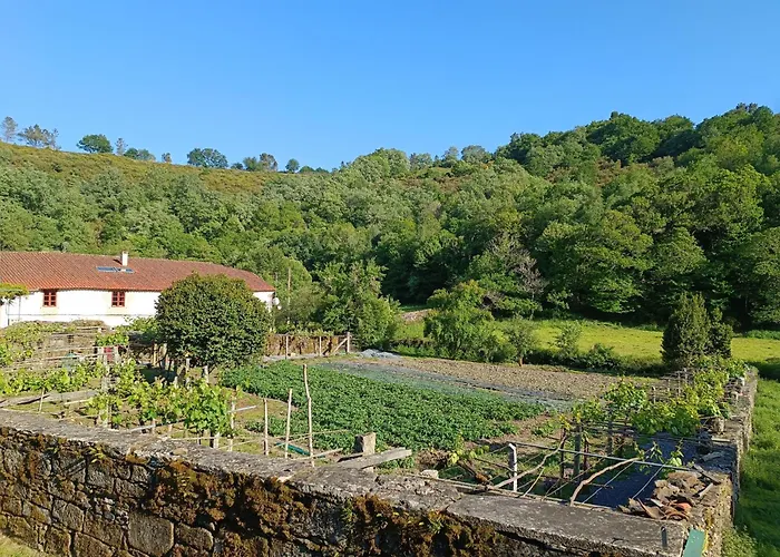 Casa Grande De Covas-Apartamentos Boutique En La Ribeira Sacra Taboada