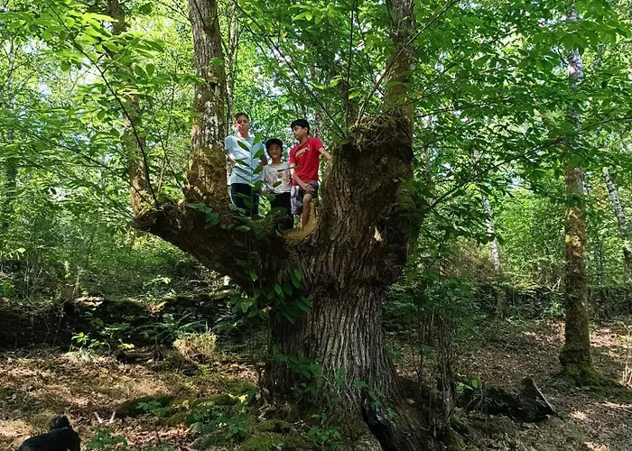 Casa Grande De Covas-apartamentos Turisticos * Taboada