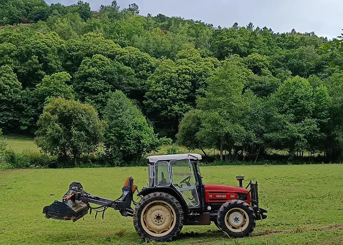Casa Grande De Covas-apartamentos Turisticos