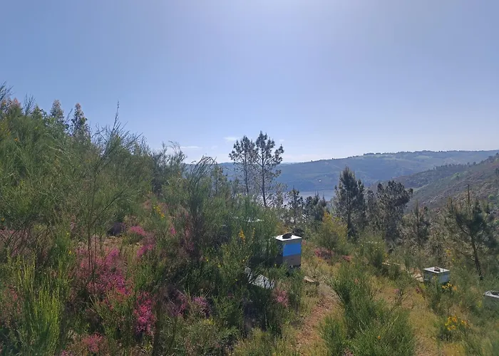 Lägenhet Casa Grande De Covas-apartamentos Turisticos