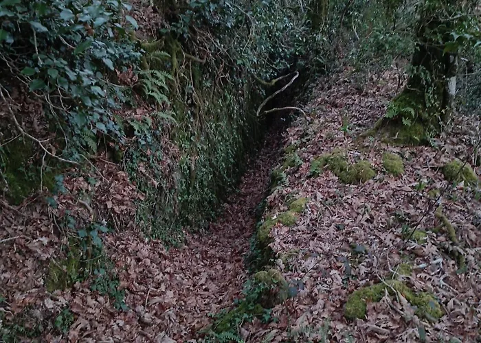 Lägenhet Casa Grande De Covas-apartamentos Turisticos Taboada