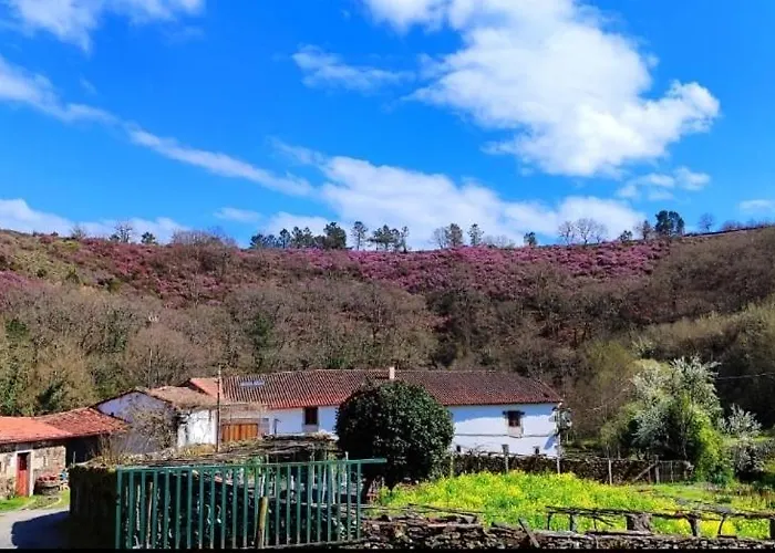 Lägenhet Casa Grande De Covas-apartamentos Turisticos