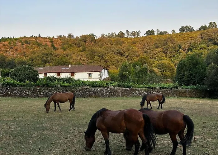 Casa Grande De Covas-Apartamentos Boutique En La Ribeira Sacra *