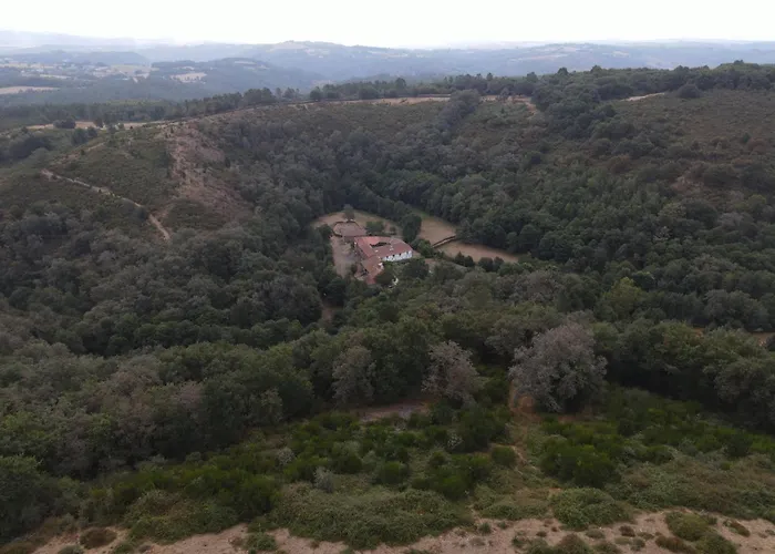 Apartment Casa Grande De Covas-Apartamentos Boutique En La Ribeira Sacra