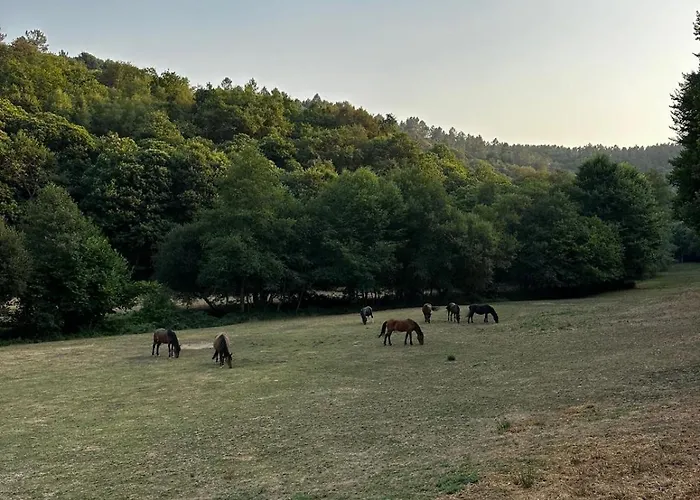 Casa Grande De Covas-apartamentos Boutique Turísticos- Ribeira Sacra * Taboada