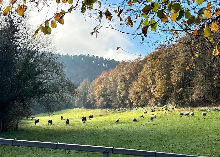 Lägenhet Casa Grande De Covas-apartamentos Turisticos Taboada
