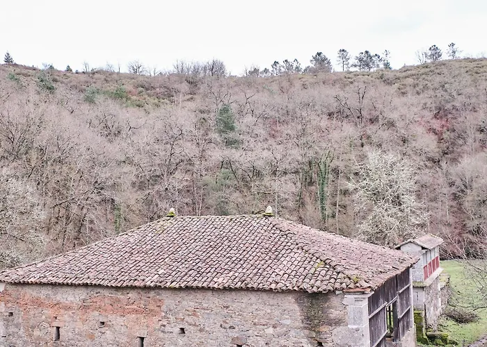 Casa Grande De Covas-apartamentos Boutique Turísticos- Ribeira Sacra * Taboada