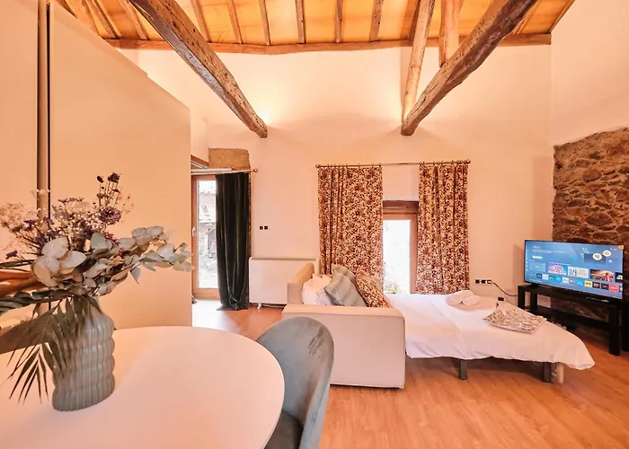 Apartment Casa Grande De Covas-Apartamentos Boutique En La Ribeira Sacra *