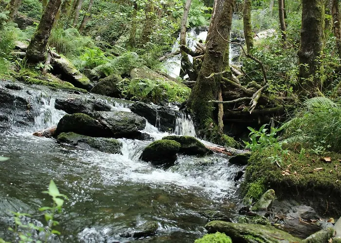 Lägenhet Casa Grande De Covas-apartamentos Turisticos