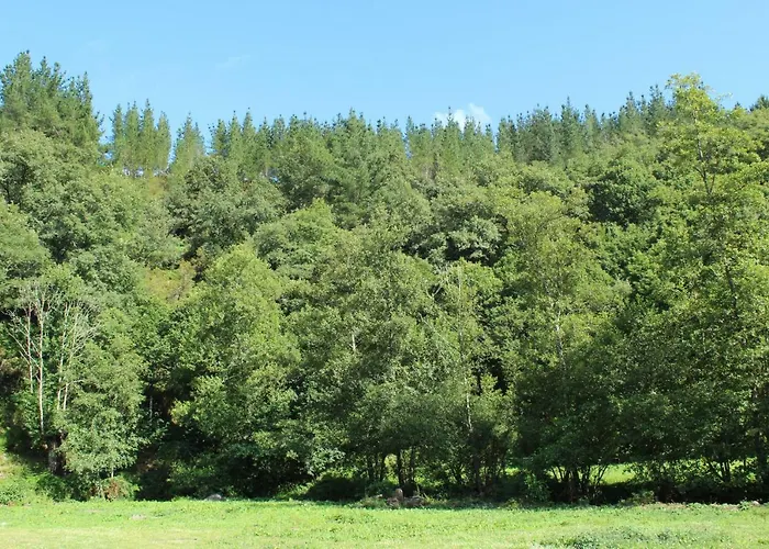 Casa Grande De Covas-apartamentos Turisticos * Taboada